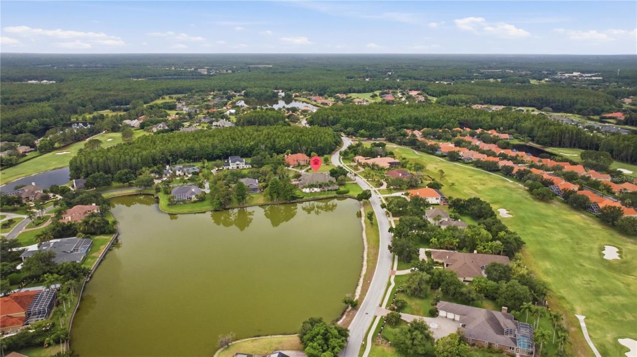 4123 Highland Park Circle, Lutz, FL 33558 Photo