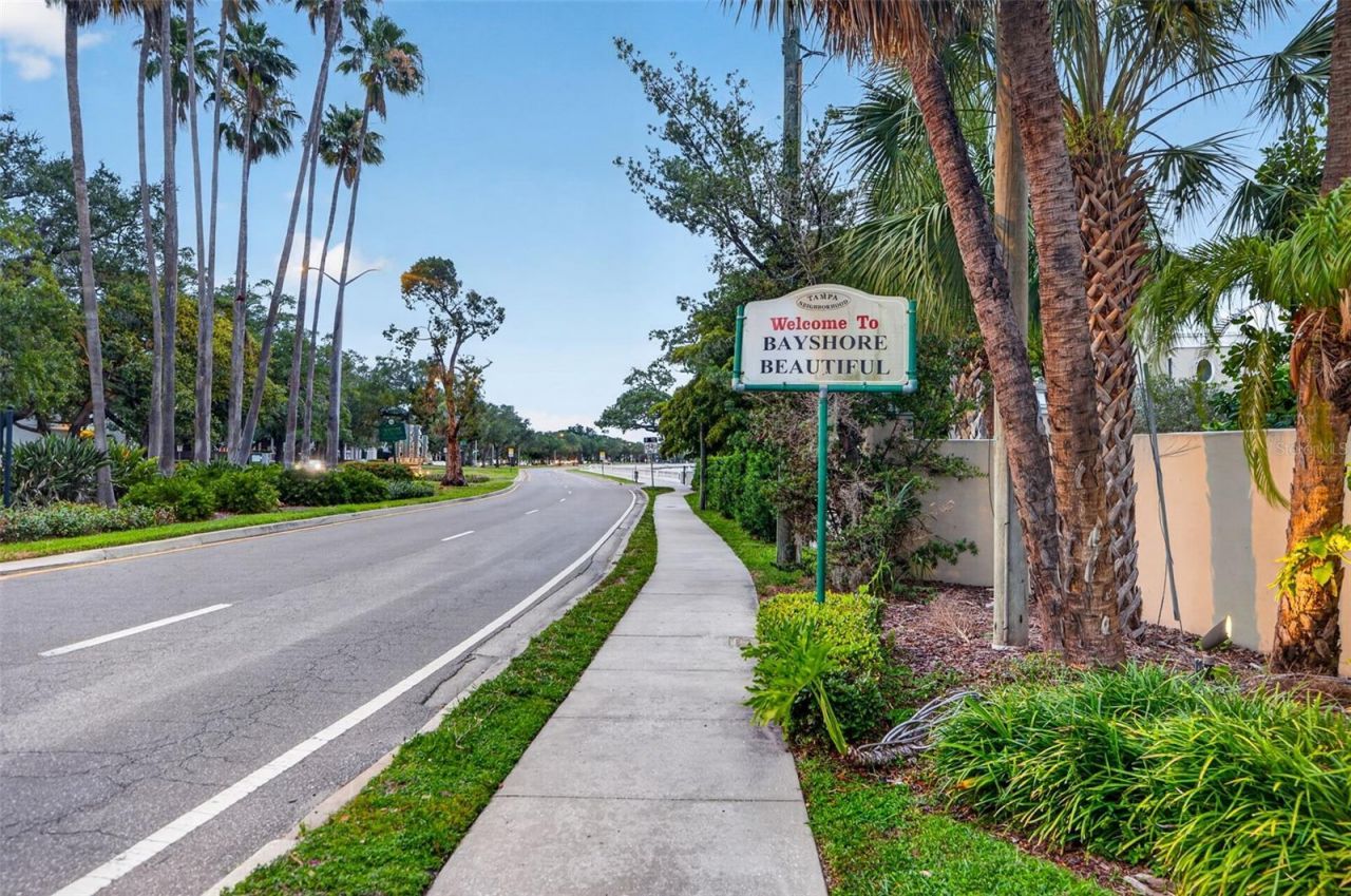 4907 Bayshore Boulevard, Unit 109, Tampa, FL 33611 Photo