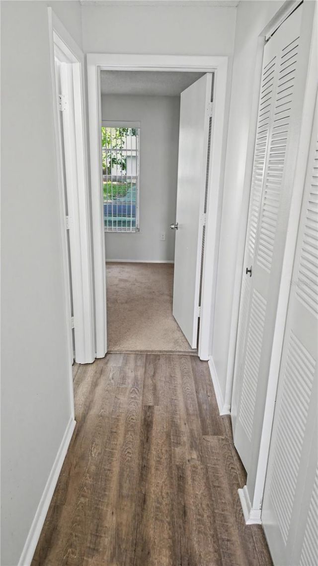 7419 Ivory Terrace , New Port Richey, FL 34655 Photo