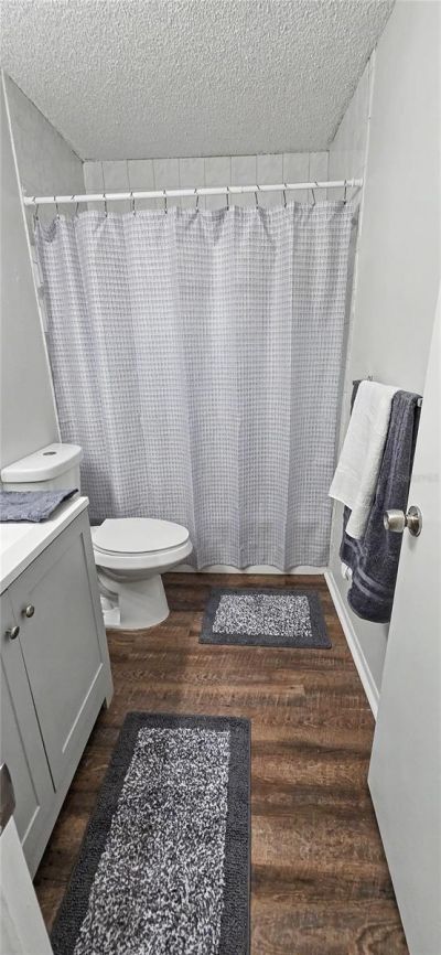 7419 Ivory Terrace , New Port Richey, FL 34655 Photo