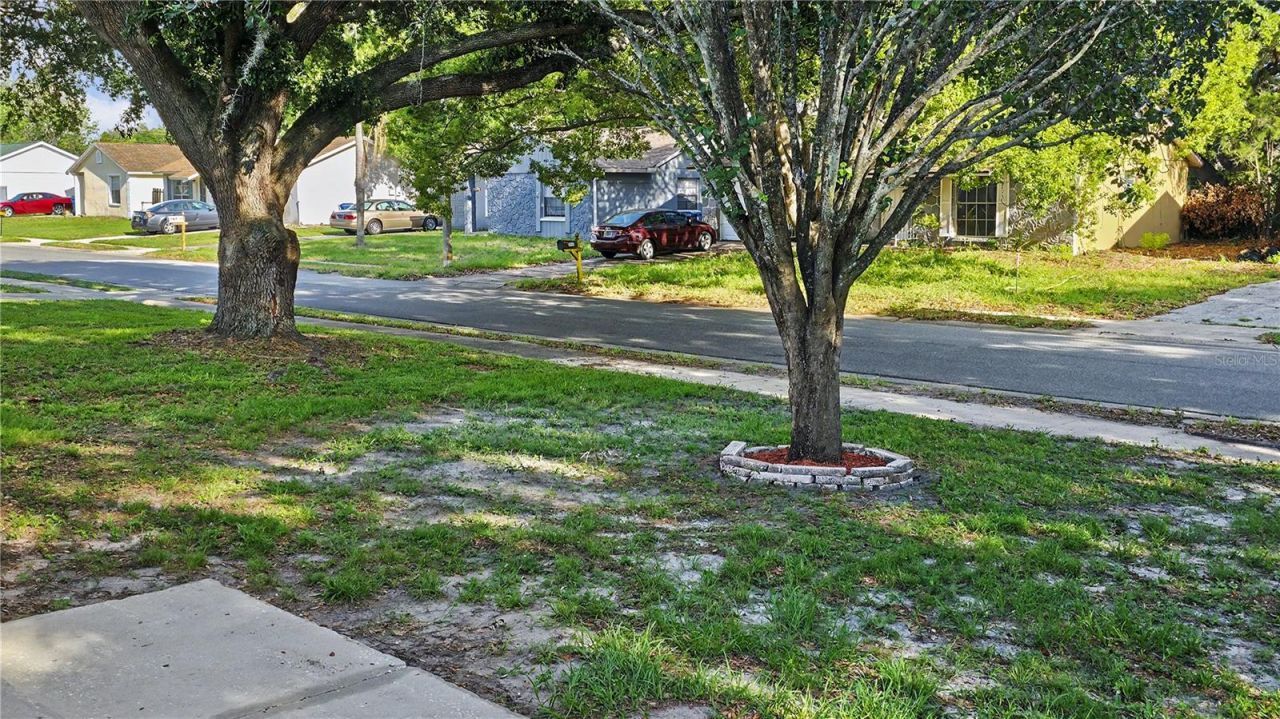 7419 Ivory Terrace , New Port Richey, FL 34655 Photo