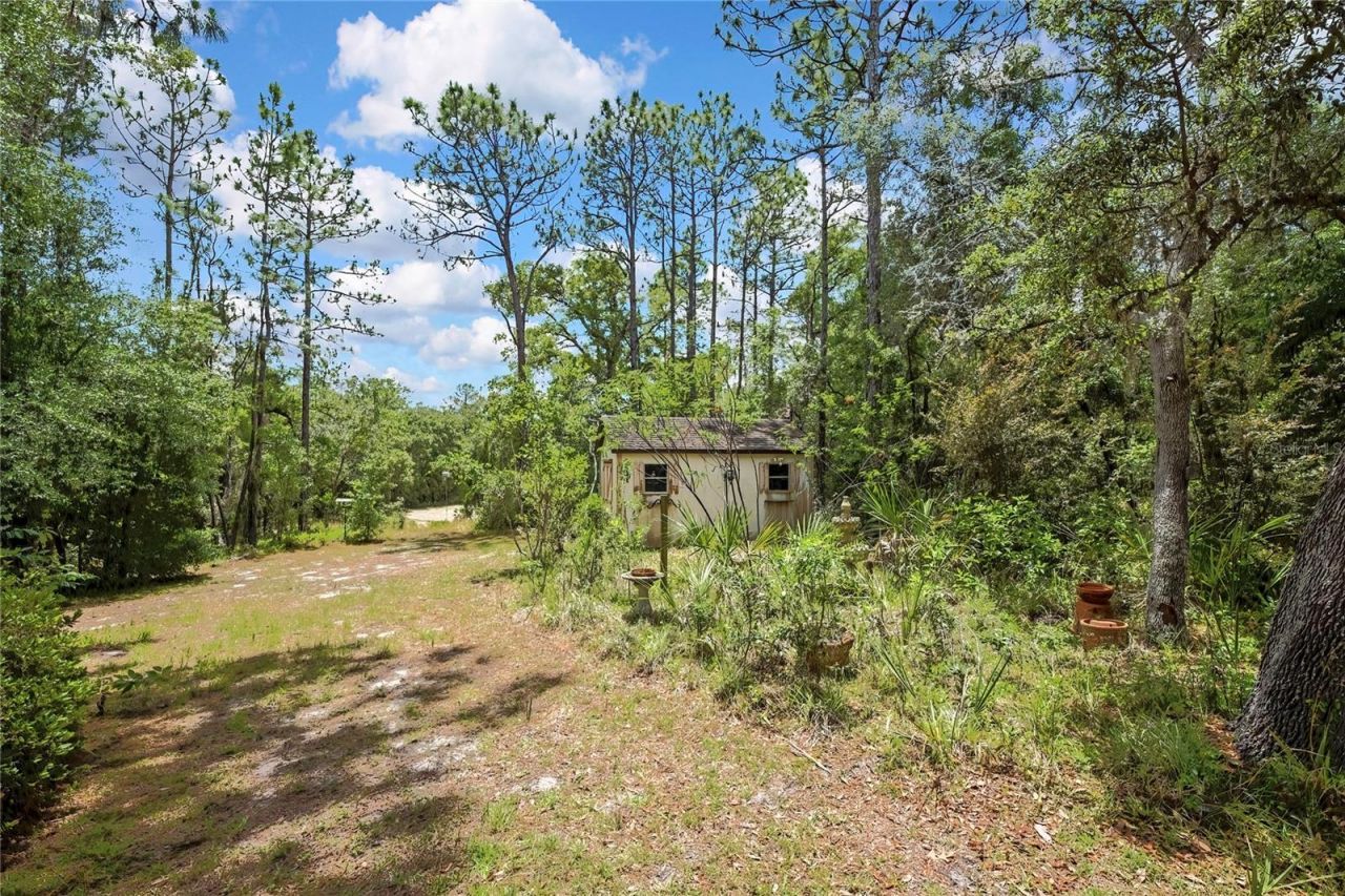 862 W National Street, Hernando, FL 34442 Photo
