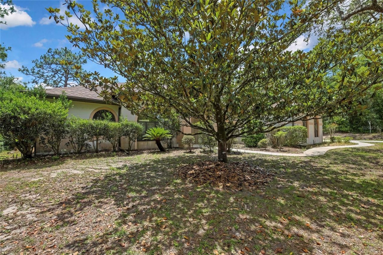 862 W National Street, Hernando, FL 34442 Photo