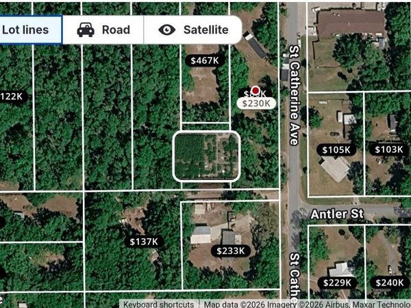 792 ST CATHERINE AVENUE , CHRISTMAS, FL 32709