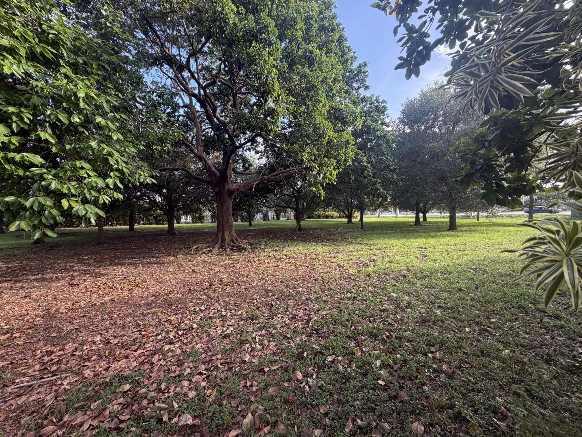 8700 NW 45th Court, Lauderhill, FL 33351 Photo