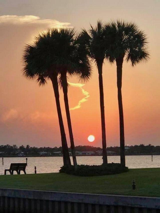 1950 SW Palm City Road, Unit 14-305, Stuart, FL 34994 Photo
