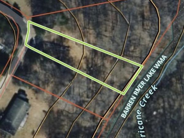 436 S Parkside Drive , Scottsville, KY 42162