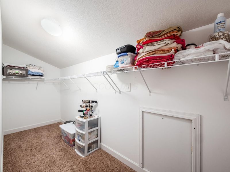 4175 Daylily Drive, Powell, OH 43065 Photo 47