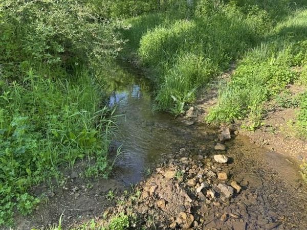 000 Byrd's Creek Rd. Road, Blue River, WI 53518