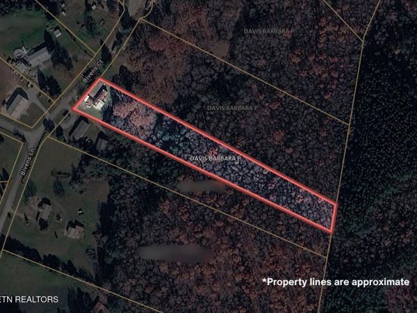 160 Bivens Court, Niota, TN 37826