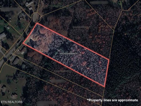 180 Bivens Court, Niota, TN 37826