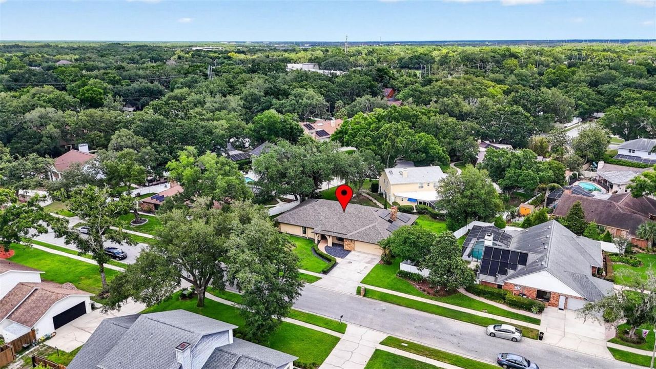 11004 Theresa Arbor Drive, Temple Terrace, FL 33617 Photo