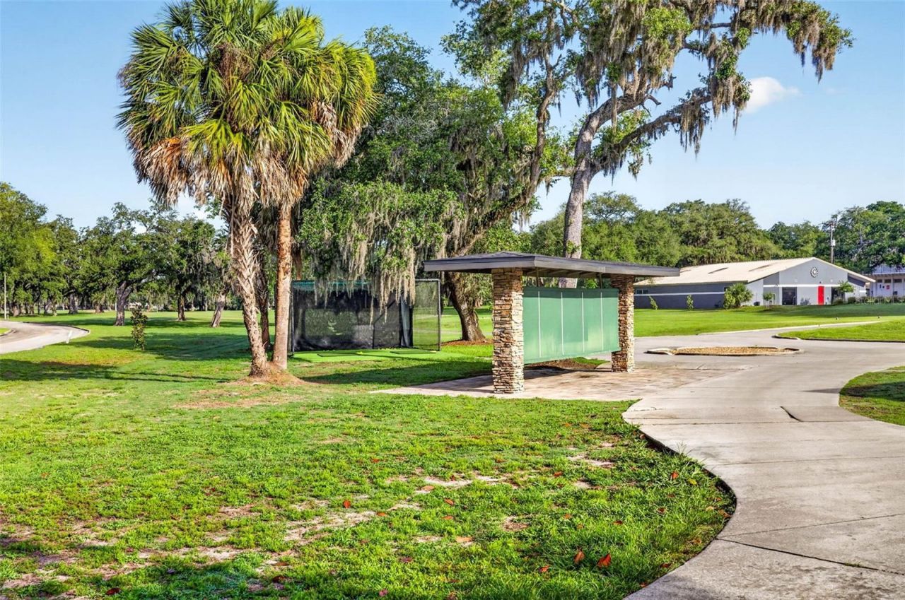 11004 Theresa Arbor Drive, Temple Terrace, FL 33617 Photo