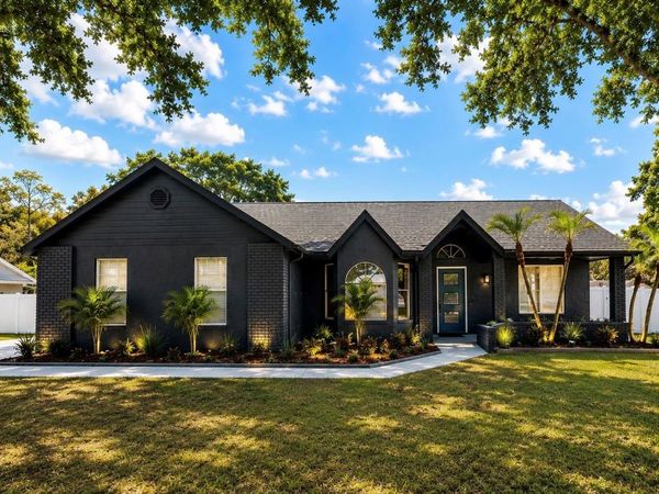 29341 RHODIN PLACE, WESLEY CHAPEL, FL 33545