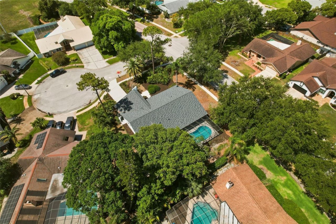 2700 Sedgefield Court E, Clearwater, FL 33761 Photo