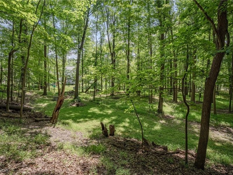 7538 Ridge Road , Parma, OH 44129 Photo 37