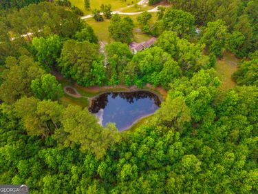 3869 Hiltonia-Perkins Road, Sylvania, GA 30467