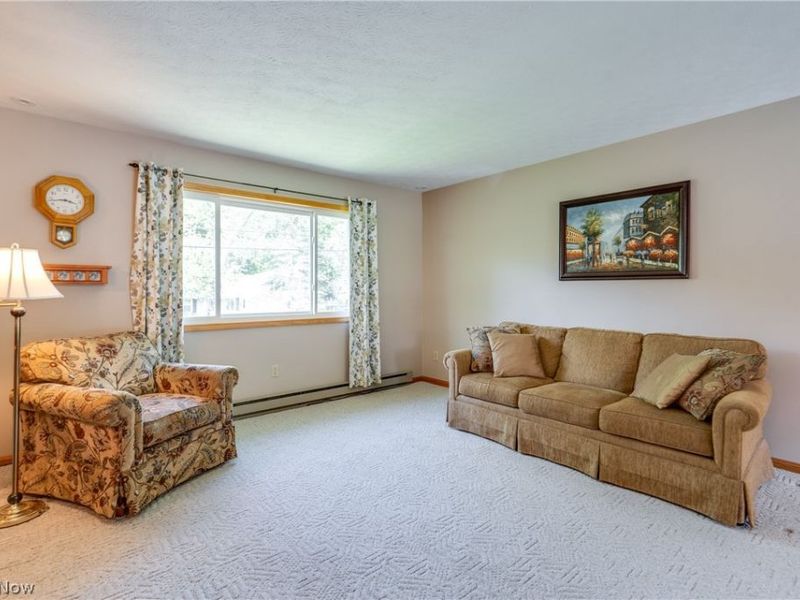 7004 Madison Avenue, Madison, OH 44057 Photo 13