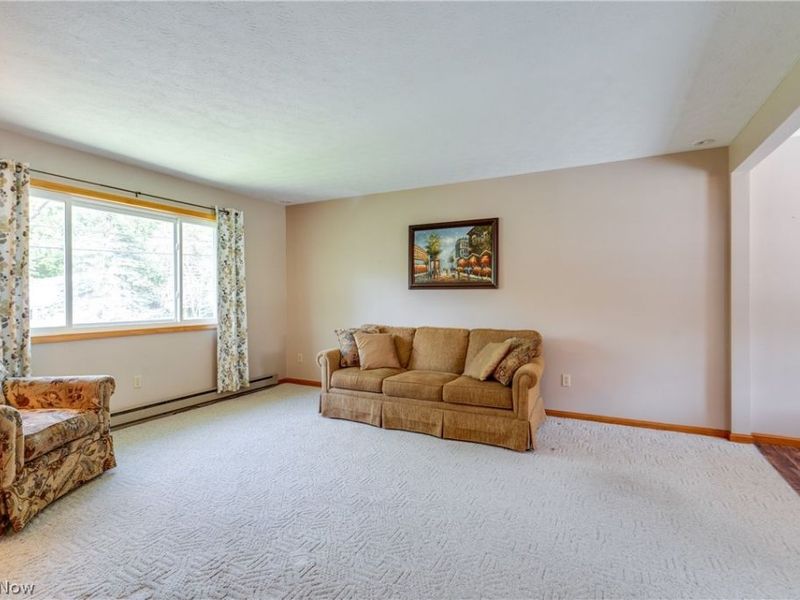 7004 Madison Avenue, Madison, OH 44057 Photo 15