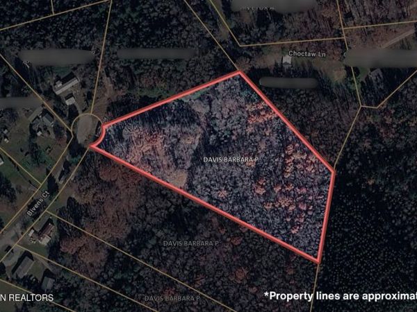 200 Bivens Court, Niota, TN 37826