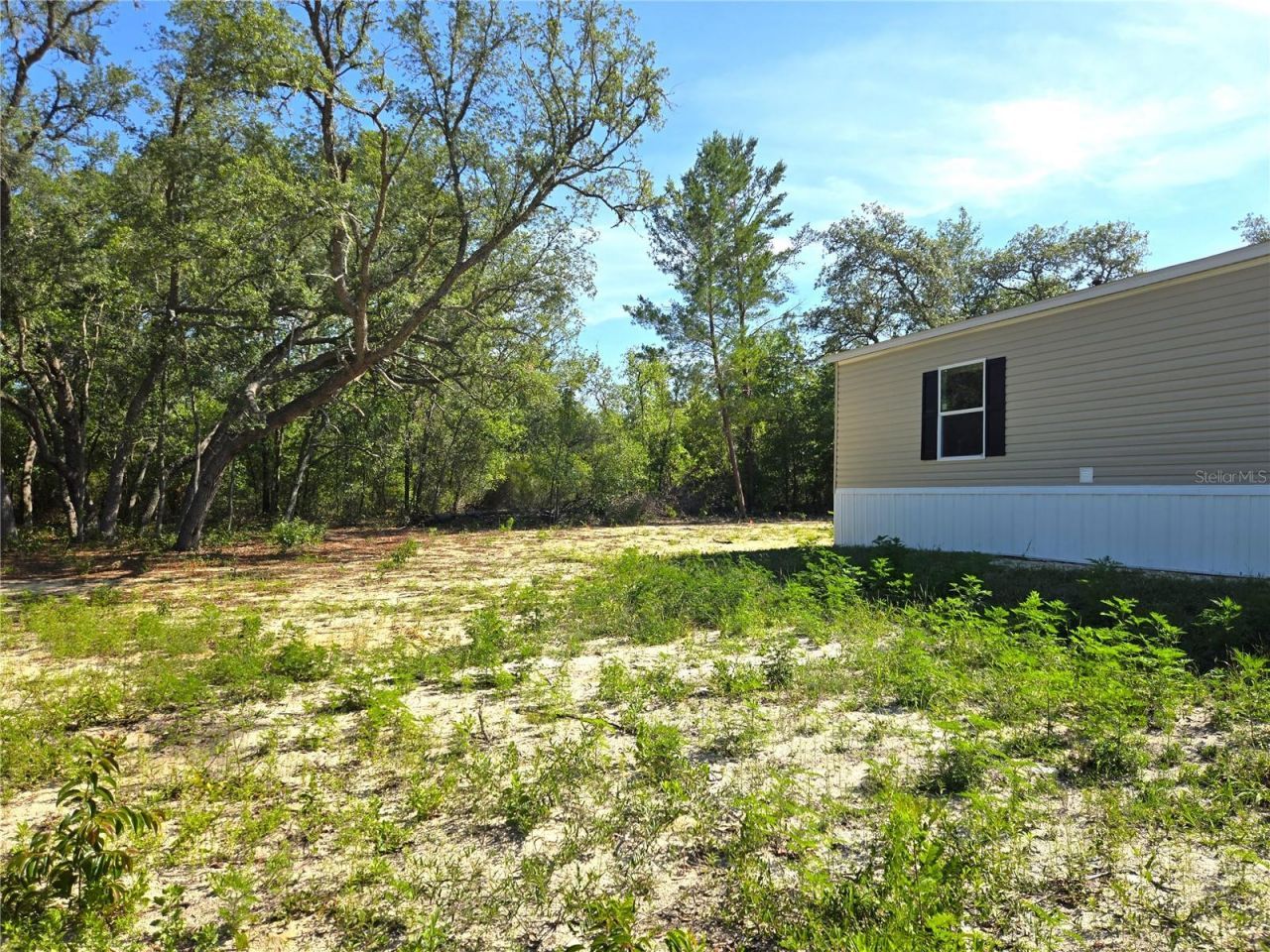 8851 NE 105th Avenue, Bronson, FL 32621 Photo