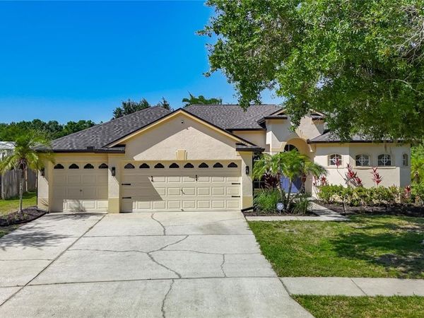 16923 MELISSA ANN DRIVE , LUTZ, FL 33558