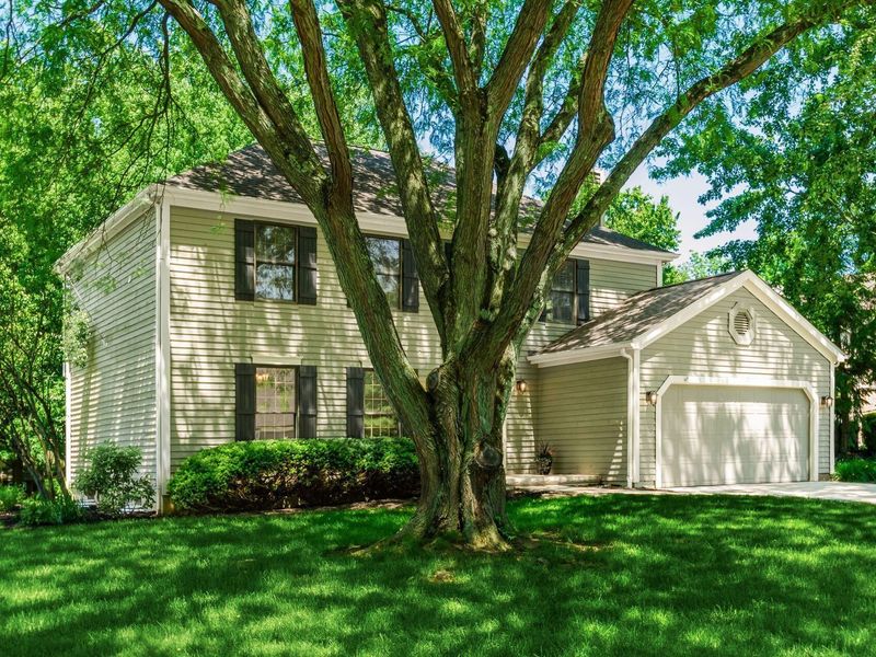 814 Black Gold Avenue, Gahanna, OH 43230 Photo 3