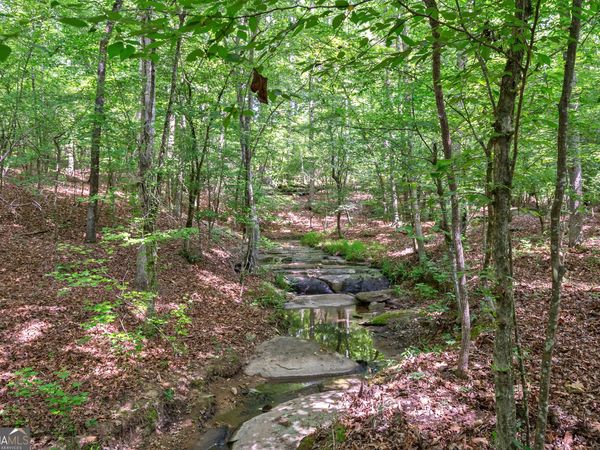 0 Gene Smith Road, Carlton, GA 30627