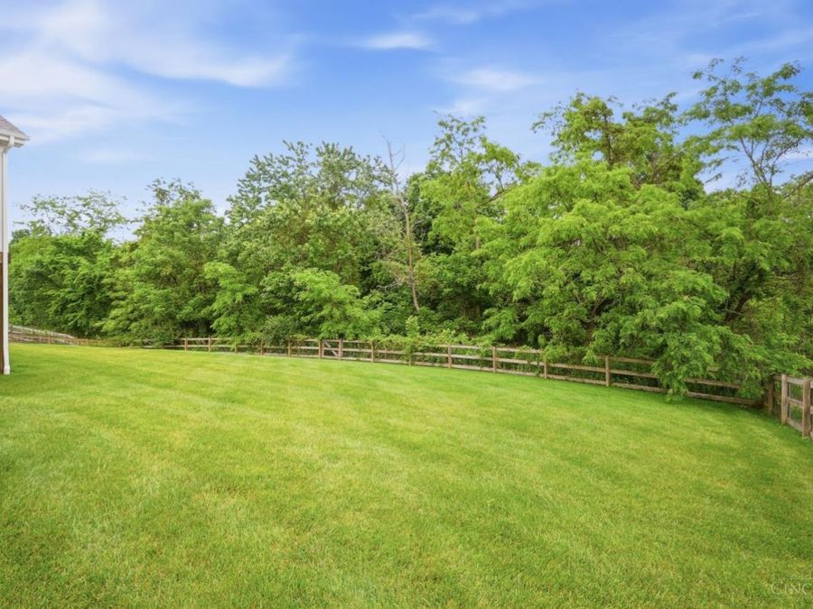 Property Image 95