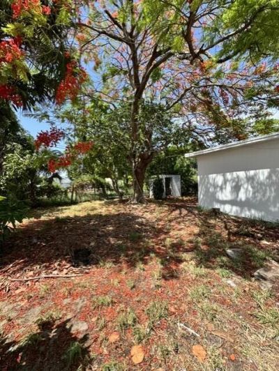 554 W 1st Street, Riviera Beach, FL 33404 Photo