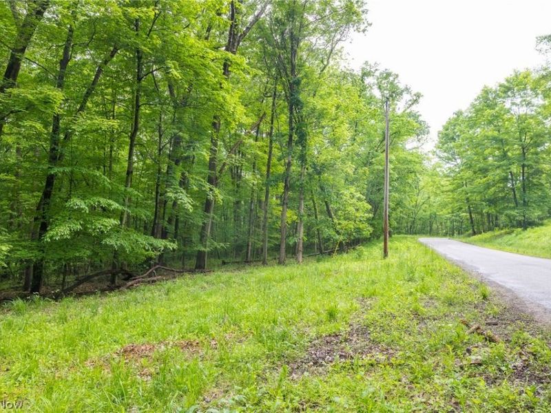 Miller Hill Road, Sherrodsville, OH 44678 Photo 10