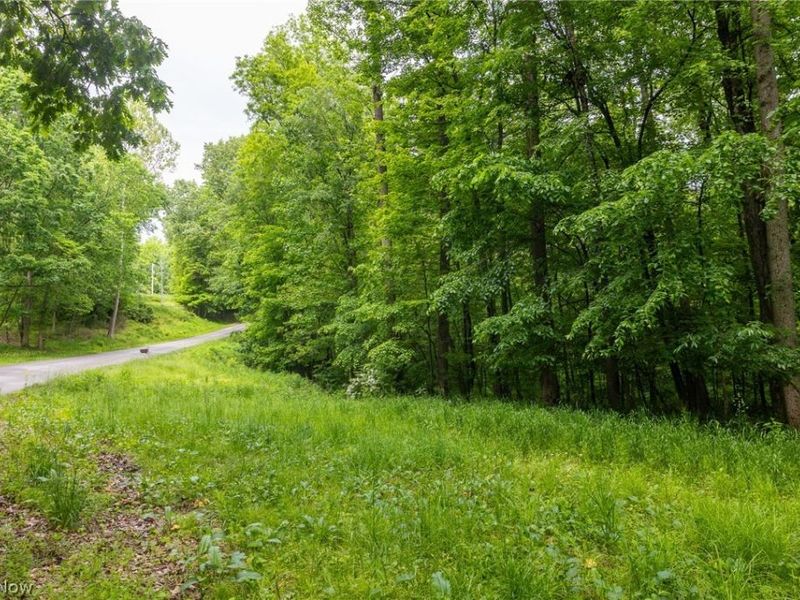 Miller Hill Road, Sherrodsville, OH 44678 Photo 8