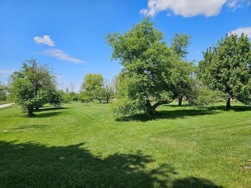 0 County Road 25, Cardington, OH 43315 Photo 2