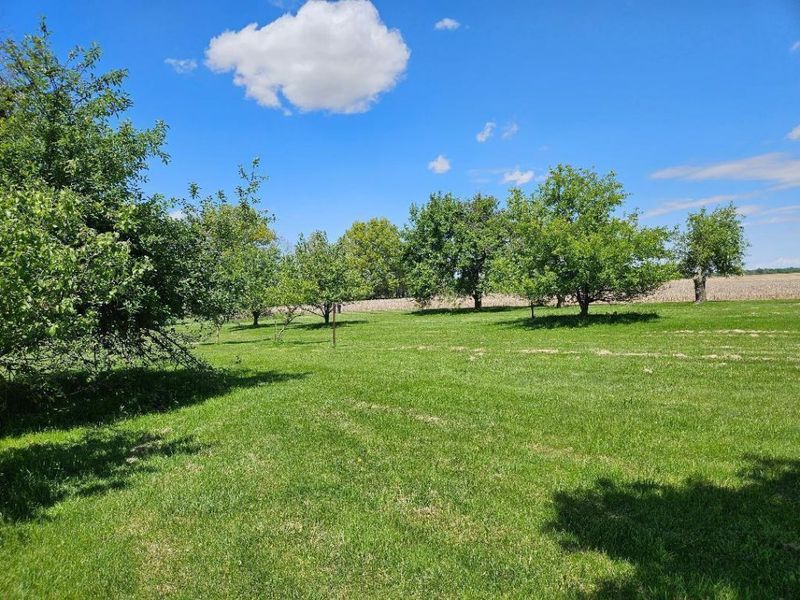 0 County Road 25, Cardington, OH 43315 Photo 3
