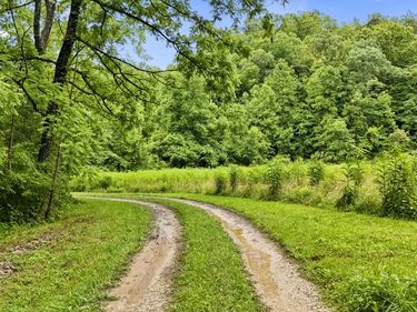 1235 Greenbrier Branch Road, Campton, KY 41301
