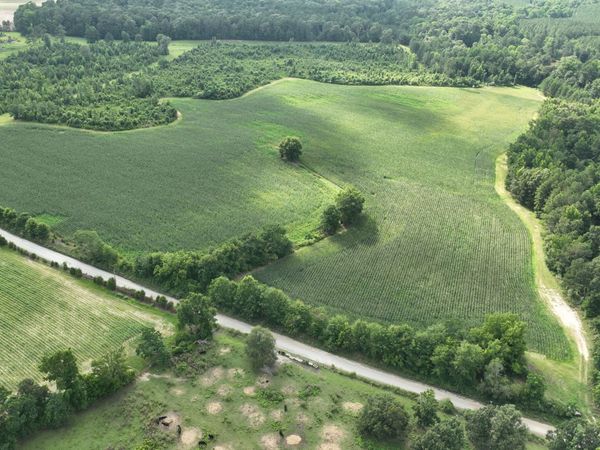 0 Ben Hadden Road, Stapleton, GA 30823