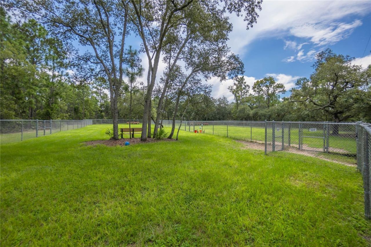 1256 W Sphere Place, Beverly Hills, FL 34465 Photo