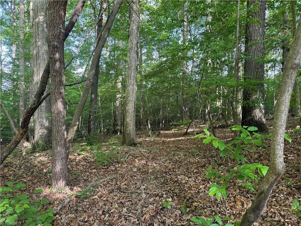 Tract 4 Dover Church Road , Seagrove, NC 27341