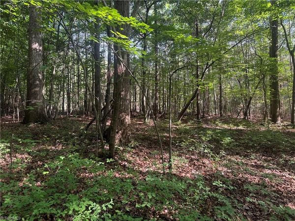 Tract 2 Dover Church Road , Seagrove, NC 27341