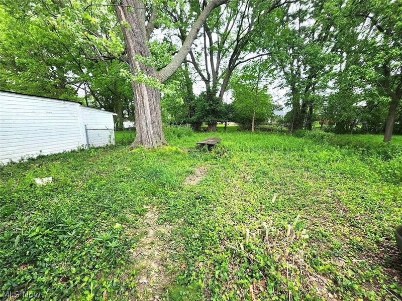 19381 Pasnow Avenue, Euclid, OH 44119 Photo 20