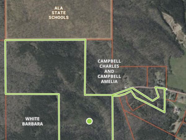 1965 Alabama Highway 11, Collinsville, AL 35961