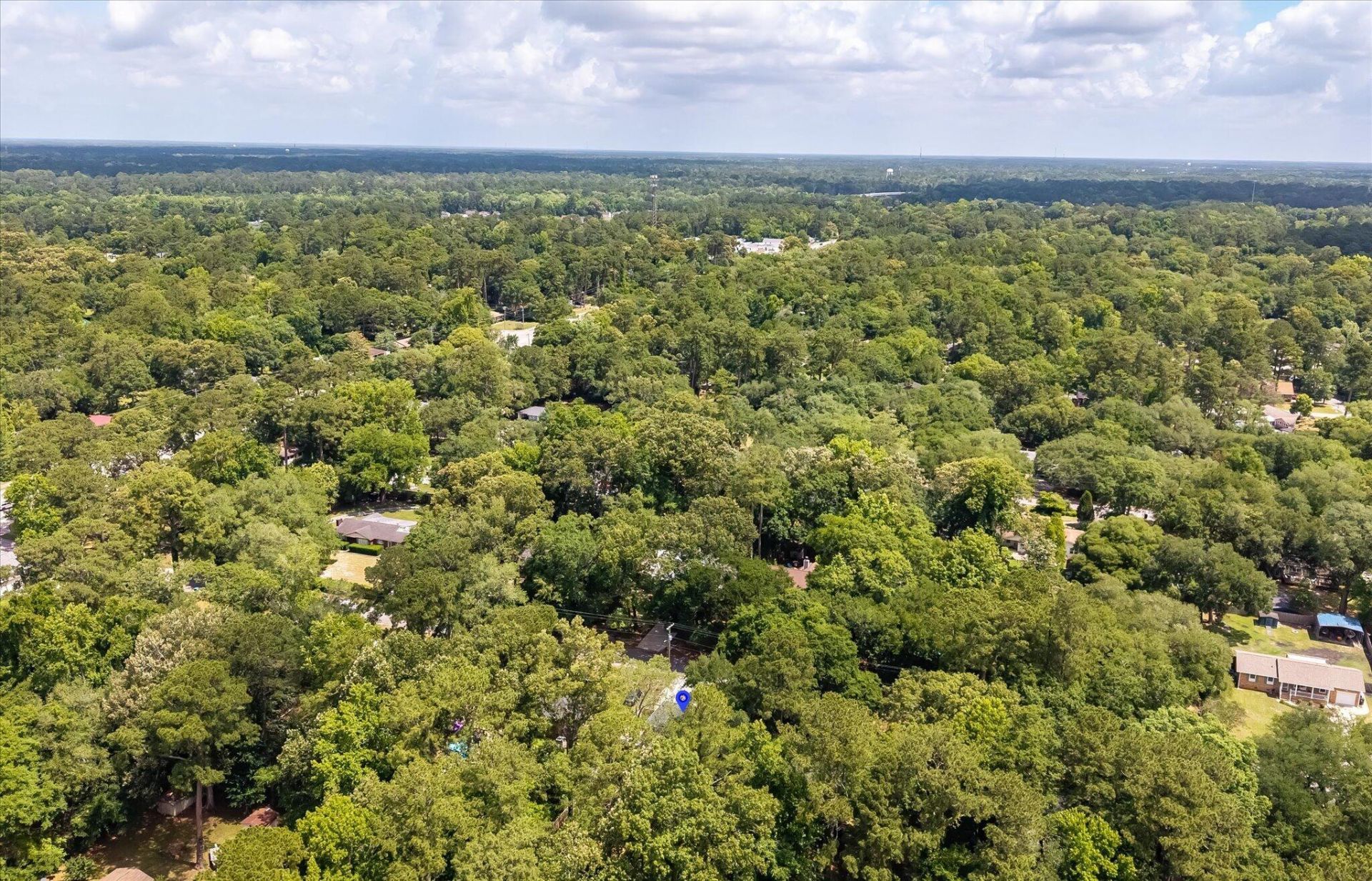 112 Live Oak Road Photo 61