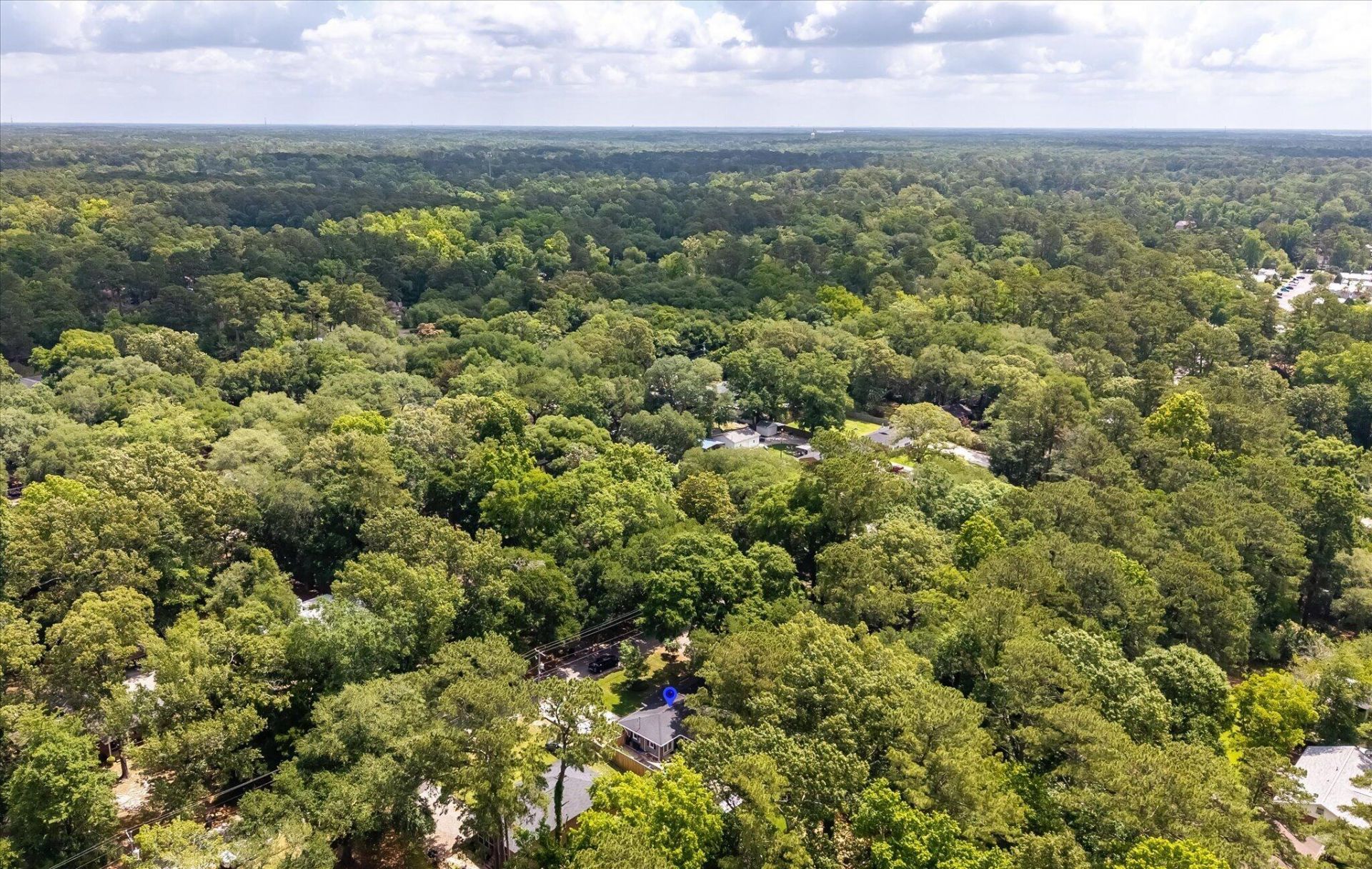 112 Live Oak Road Photo 62