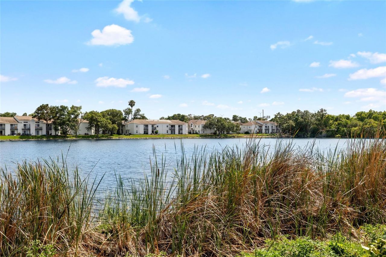 3226 Nautical Place S, Saint Petersburg, FL 33712 Photo