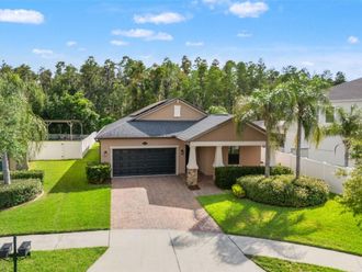 19476 PADDOCK VIEW DRIVE Tampa, FL 33647