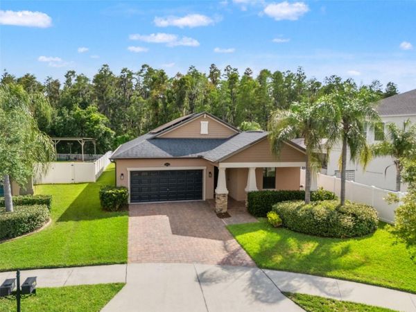 19476 PADDOCK VIEW DRIVE , TAMPA, FL 33647