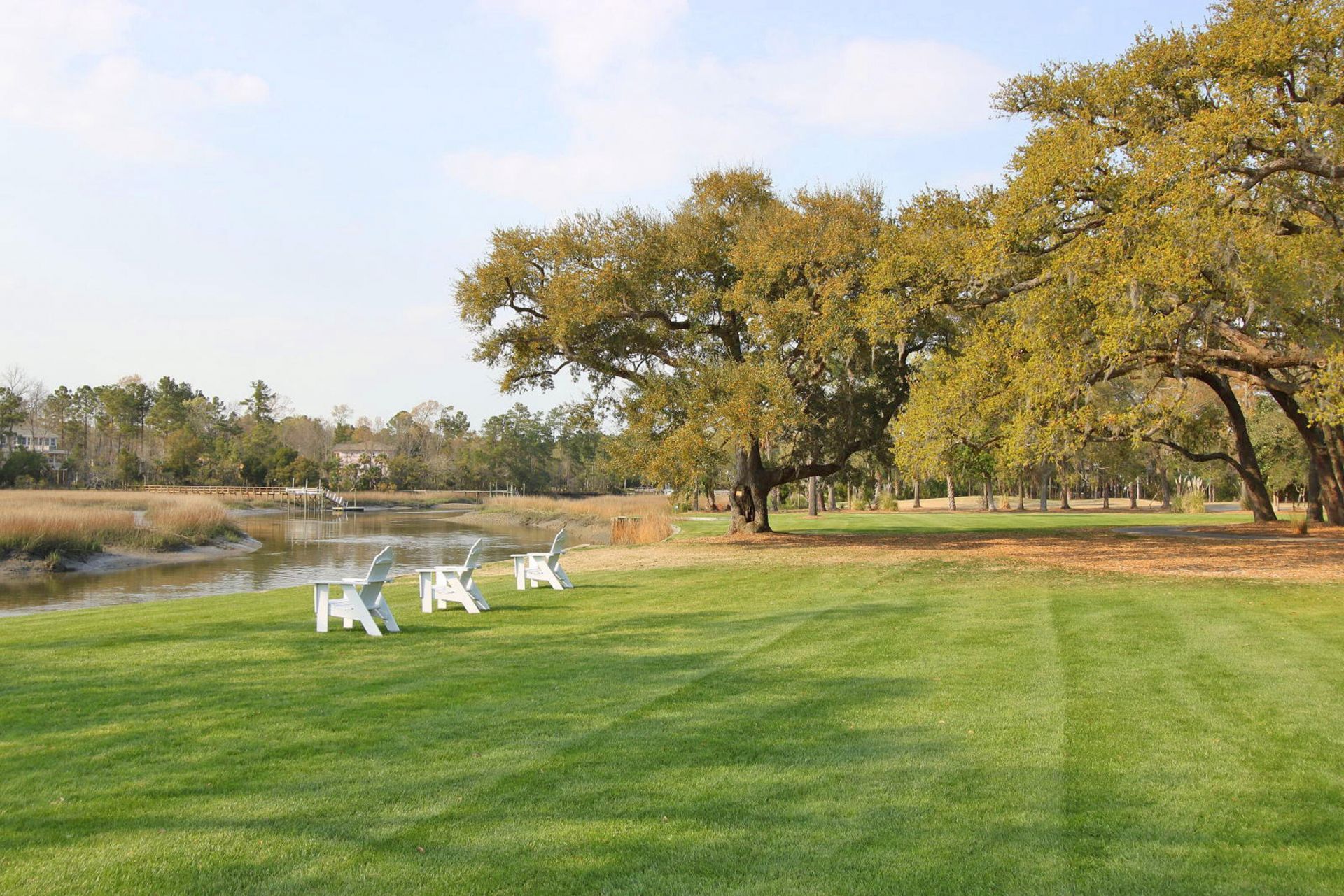 1148 Black Rush Circle Photo 56