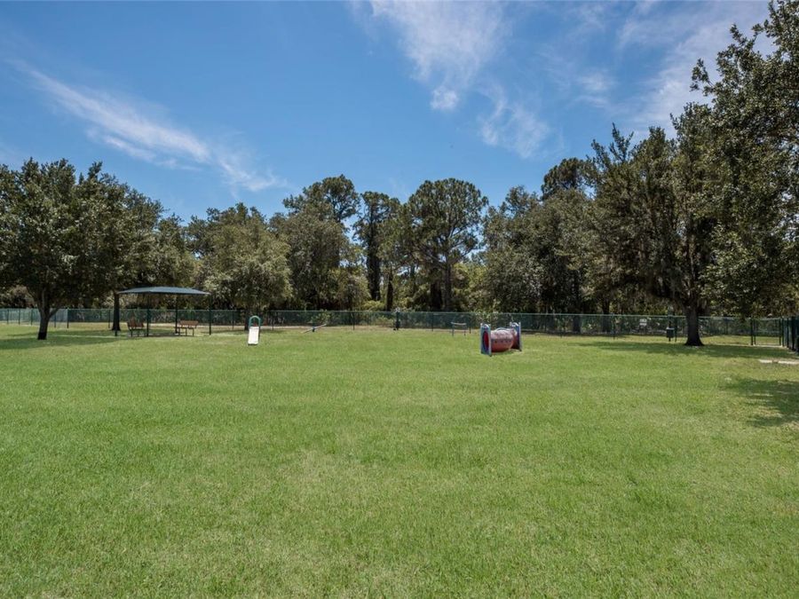 Property Image 87