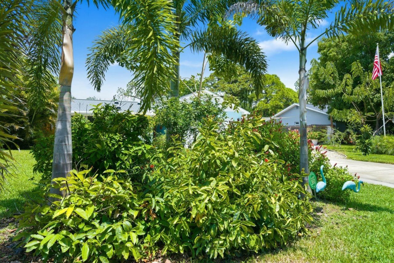 2221 Coronada Way S, Saint Petersburg, FL 33712 Photo
