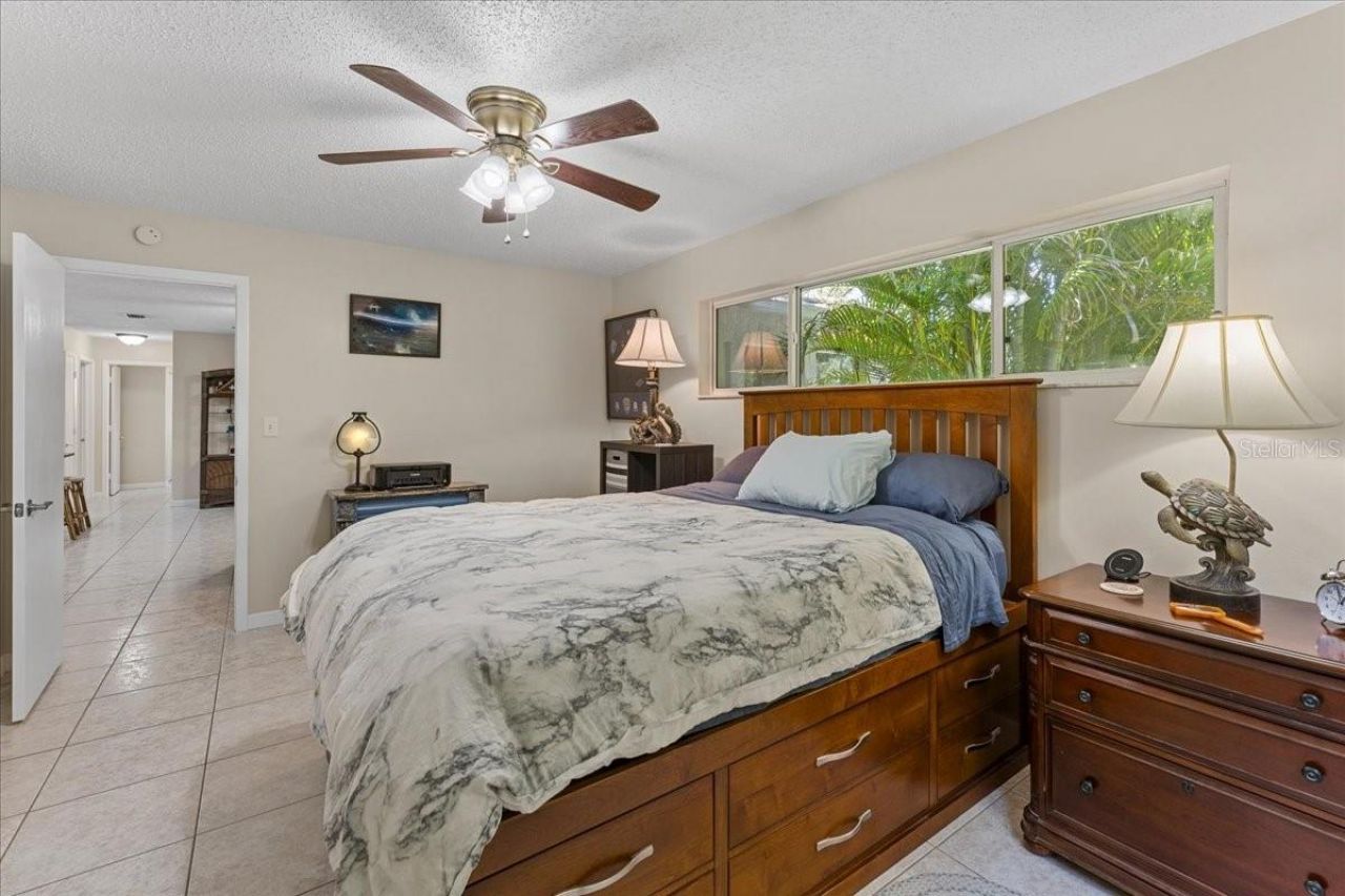 344 Crosswinds Drive, Palm Harbor, FL 34683 Photo